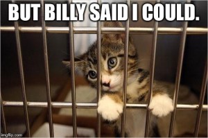 Remember during the first reading of this bill when Billy said the government shouldn't collect small fines? Well, poor kitty cat took him literally.