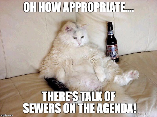 Now, now Slim, let's not assume the council meeting is going to be a wreck!