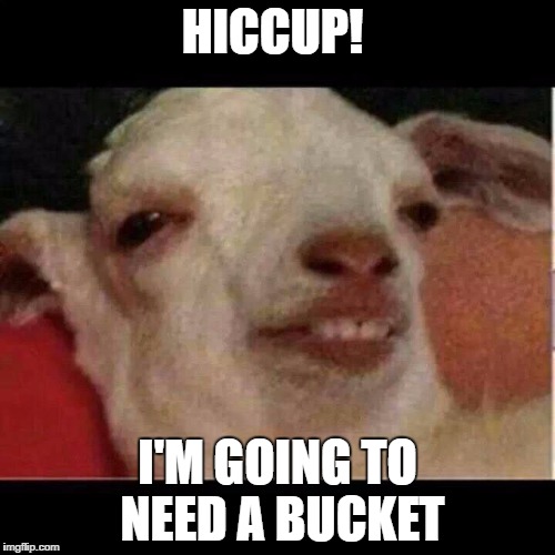 Hang in there Smokey!