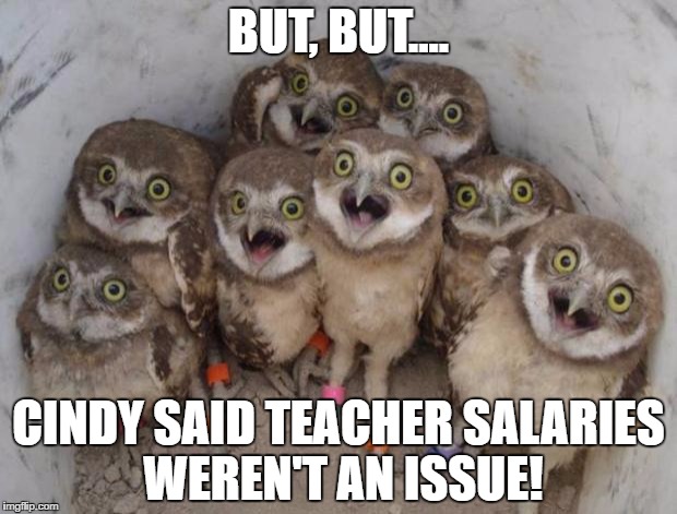 Poor, sweet naive owlets.