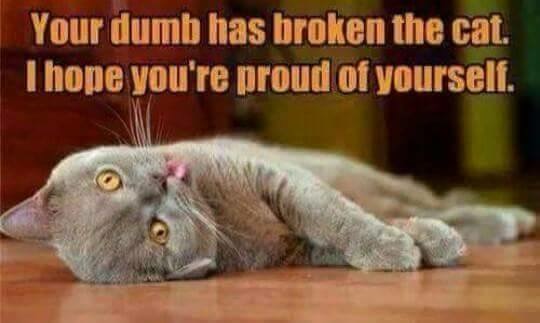 Are you proud Kirby and Billy? Are you?