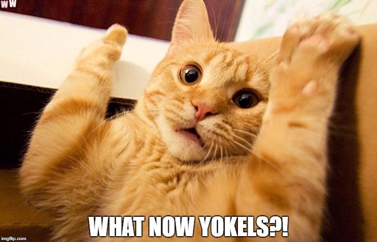 Sorry Creampuff. We know it's something new everyday. 