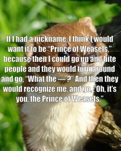 4cd925e0ba92c813d63cddd0b03ffc32