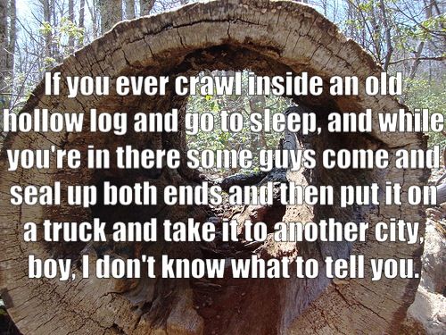 cffa492473635e3431417a111d8e1544