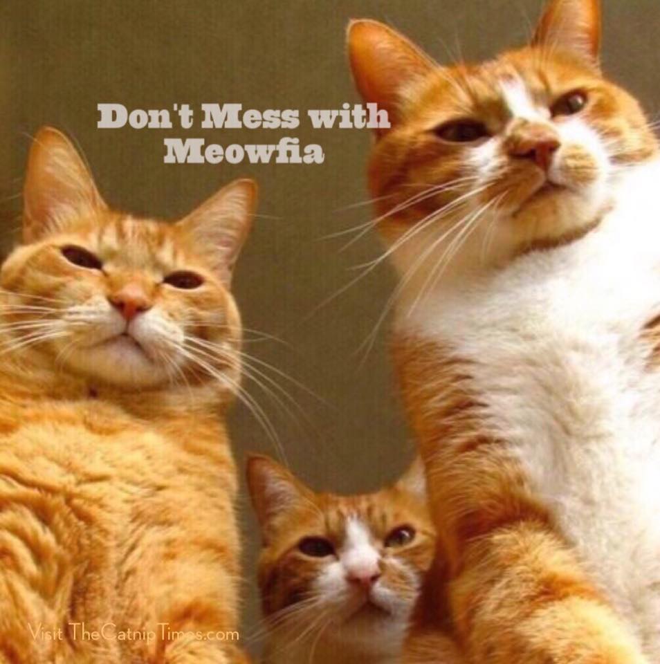 7007e7b13034da7f45948dcdc9d48bfb