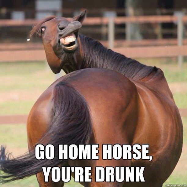 d710413e34c01424cf266ce2c2a6c2a6--funny-girl-memes-funny-girls