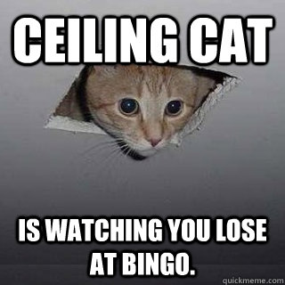 e13554855a694e7ae222407ba33d6354b54c3e6d15127c4d69d5cc6a1a72425a