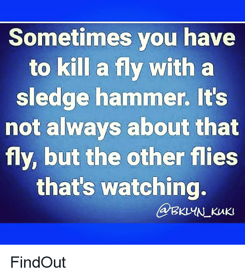 sometimes-you-have-to-kill-a-fly-with-a-sledge-19709606