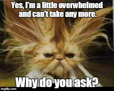 received_10155718145677599