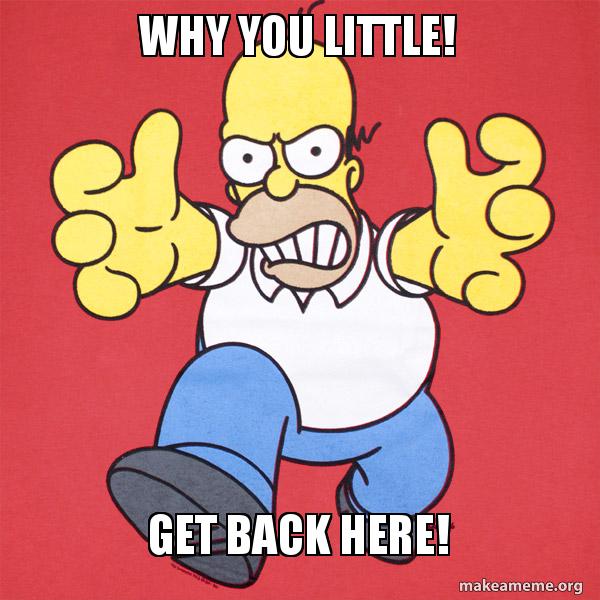 why-you-little-yvlw9i.jpg